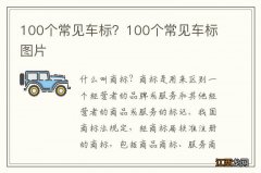 100个常见车标？100个常见车标图片