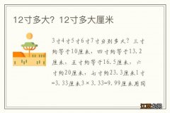 12寸多大？12寸多大厘米