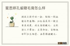 蜜思婷孔雀睫毛膏怎么样