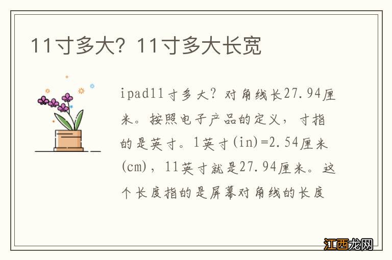 11寸多大？11寸多大长宽