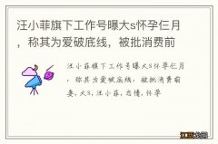 汪小菲旗下工作号曝大s怀孕仨月，称其为爱破底线，被批消费前妻