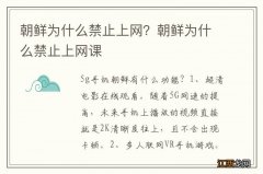 朝鲜为什么禁止上网？朝鲜为什么禁止上网课