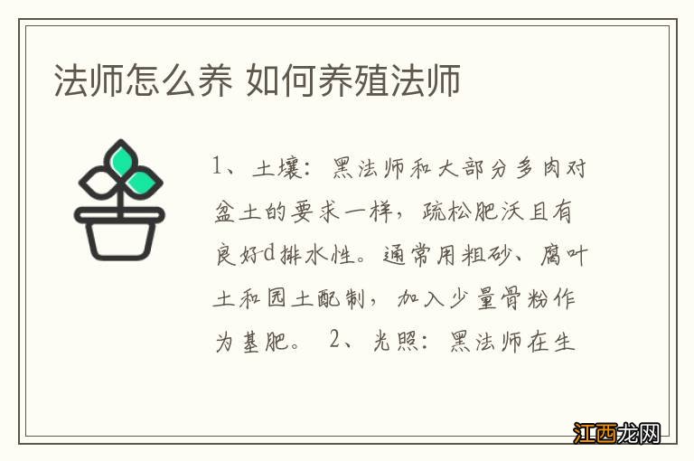 法师怎么养 如何养殖法师