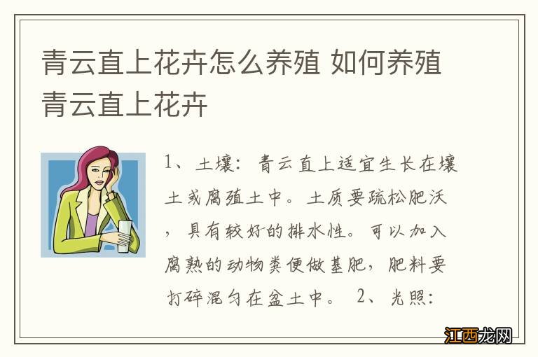 青云直上花卉怎么养殖 如何养殖青云直上花卉