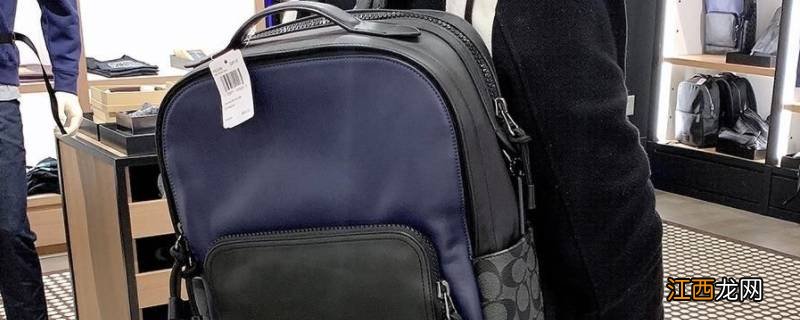 蔻驰男双肩包可以作为书包吗