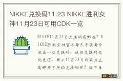 NIKKE兑换码11.23 NIKKE胜利女神11月23日可用CDK一览