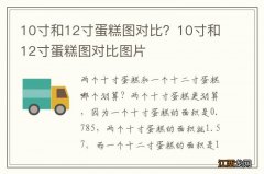 10寸和12寸蛋糕图对比？10寸和12寸蛋糕图对比图片