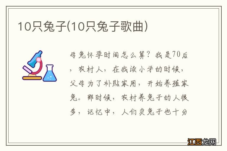 10只兔子歌曲 10只兔子