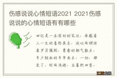 伤感说说心情短语2021 2021伤感说说的心情短语有有哪些