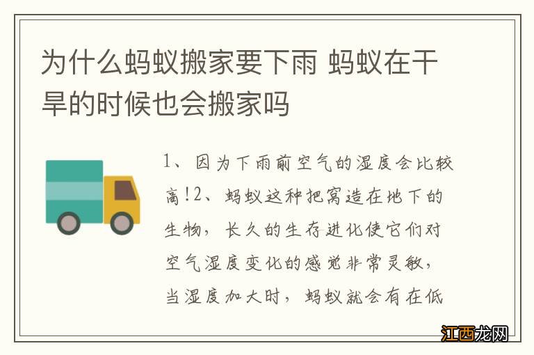 为什么蚂蚁搬家要下雨 蚂蚁在干旱的时候也会搬家吗