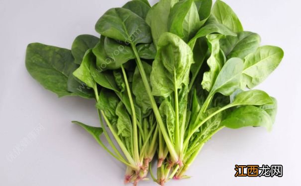 女性美容养生要做到哪些事情?女人做哪些事情能起到防衰老?