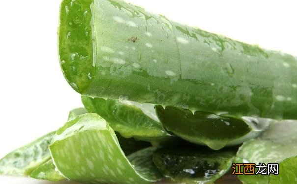 芦荟怎么美白保湿？芦荟美白保湿的方法有哪些？