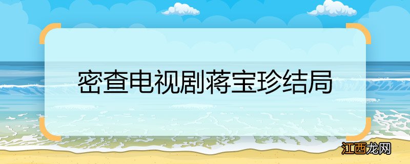 密查电视剧蒋宝珍结局 蒋宝珍最后与武仲明在一起吗