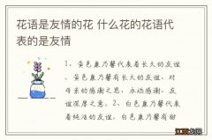 花语是友情的花 什么花的花语代表的是友情