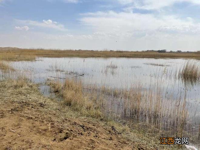 库布齐沙漠“发大水”，出现了大面积的“冰河”，是从哪里来的？