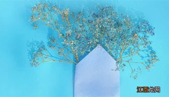 满天星图片真实照片 满天星图片