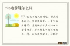 fila老爹鞋怎么样