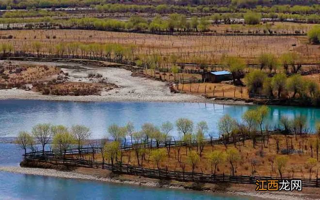 林芝桃花即将霸屏!4月,去赴这场极致的浪漫春色!