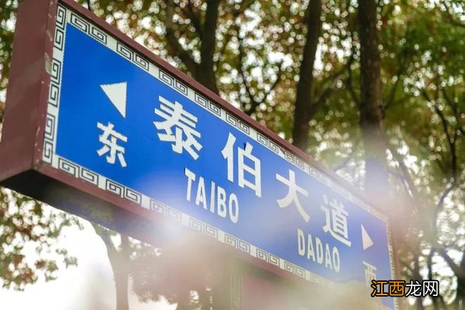 无锡漫步指南 | 樱花满城