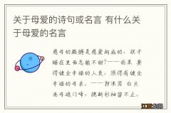 关于母爱的诗句或名言 有什么关于母爱的名言