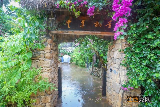 中国大陆最南端,国内最惊艳的旅游处女地,徐闻南极村你去过吗?