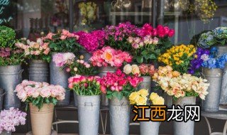 50种浪漫鲜花花语大全 50种浪漫鲜花花语是什么