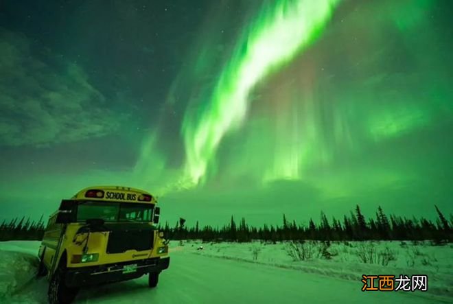 罕见极光昨夜降临加拿大夜空 社交媒体被各地的精美照片刷屏