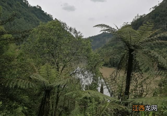 四川隐藏一个“古老”景区，曾繁盛一时，如今荒凉正自生自灭