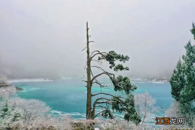 美上热搜！不去一次川内这个宝藏地，不知道什么是春天！