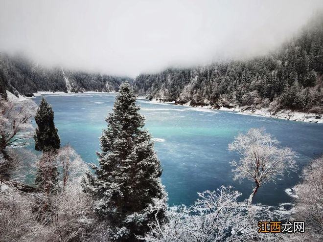 美上热搜！不去一次川内这个宝藏地，不知道什么是春天！