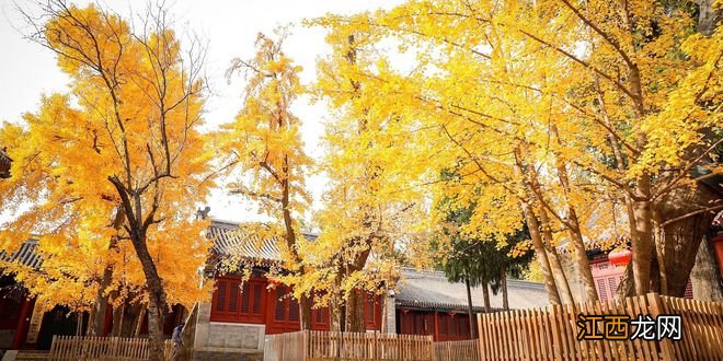 北京最神秘寺庙，500年来首次开放，门票将翻4倍却比故宫还难抢