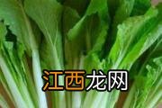 孕妇补钙吃什么食物 孕妇为什么要补钙