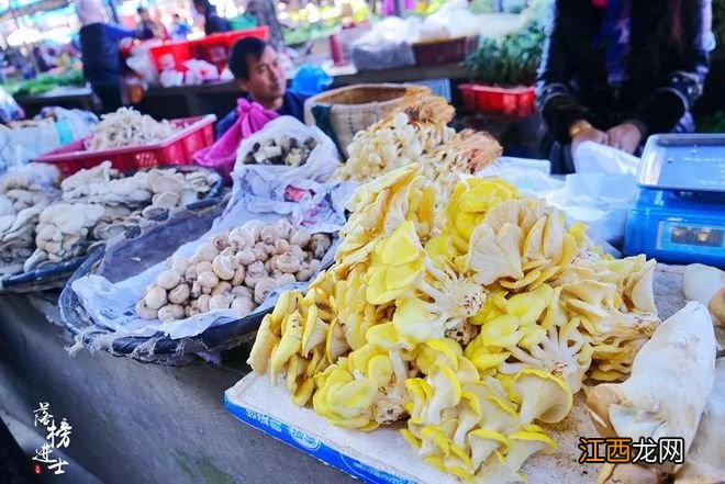 李现背奥特曼赶集上热搜！疫情下最崩溃的城市，藏着当下最珍贵的人间烟火气......