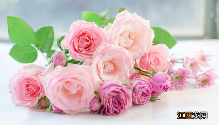 母亲过生日送什么花 送多少朵 母亲过生日送什么花