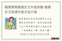 暗黑黎明暗黑女王升级攻略 暗黑女王快速升级方法介绍