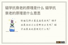 磁学抗衰老的原理是什么 磁学抗衰老的原理是什么意思