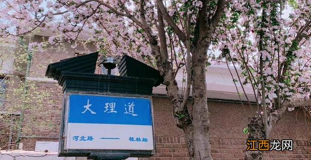 天津“一条街道”爆红，大量游客涌入，市民：满街都是人！