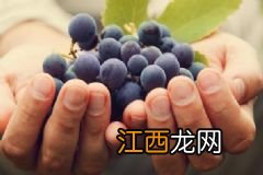 鱼肉身上有哪些营养功效？怎样挑选优质的活鱼？