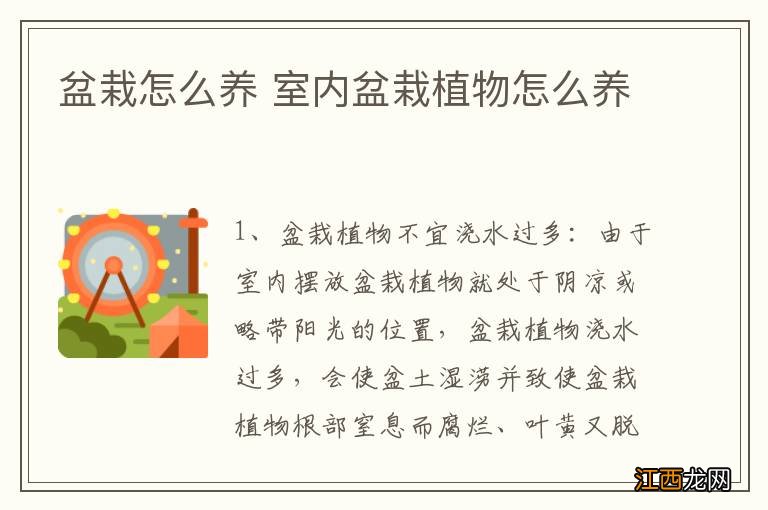 盆栽怎么养 室内盆栽植物怎么养