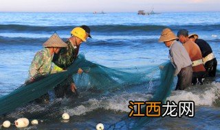 鸡粪做鱼饲料怎么做 鸡粪做鱼饲料如何做