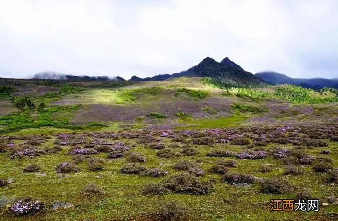 “世界第一村”竟然在云南！人迹罕至,仅有108户人家，美到让人醉死