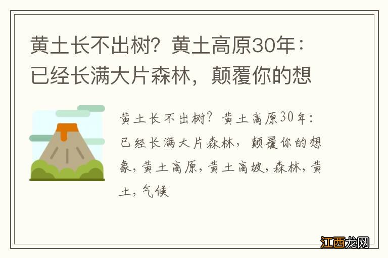 黄土长不出树？黄土高原30年：已经长满大片森林，颠覆你的想象