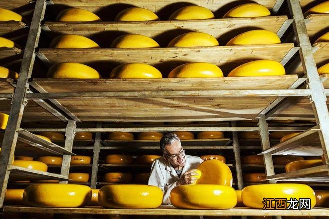 来荷兰旅游,买什么好礼物“伴手礼”?