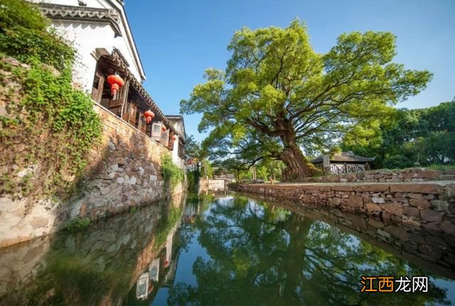 江苏西山岛上的“绝美”古村，就在太湖深处，景色不输周庄乌镇