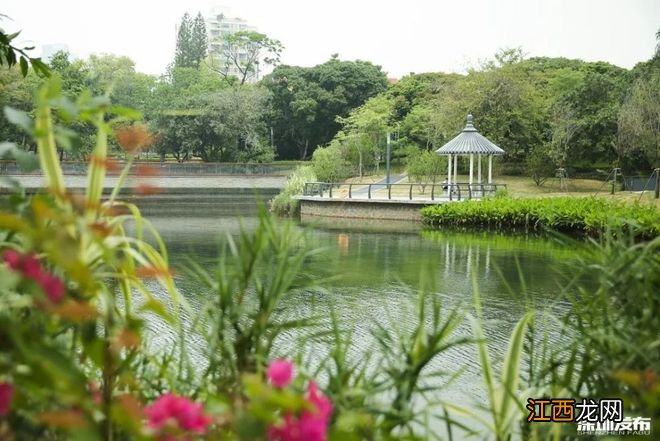 蛇口，山海与烟火