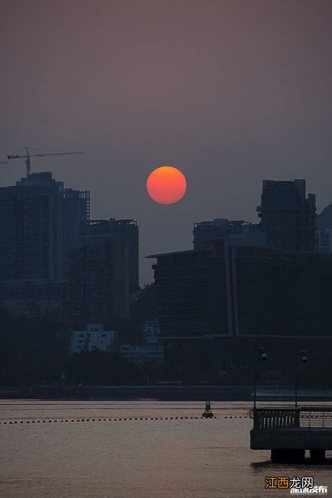 蛇口，山海与烟火