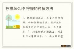 柠檬怎么种 柠檬的种植方法