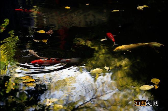 甘肃平凉,一座神奇的西部小城