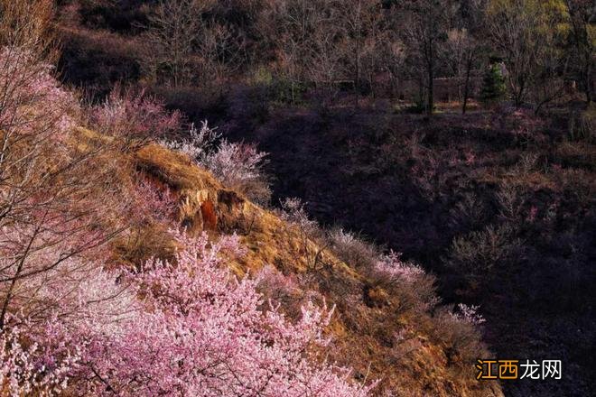 甘肃平凉,一座神奇的西部小城