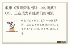 收集《宝可梦朱/紫》中的搞笑BUG，正在成为训练师们的潮流